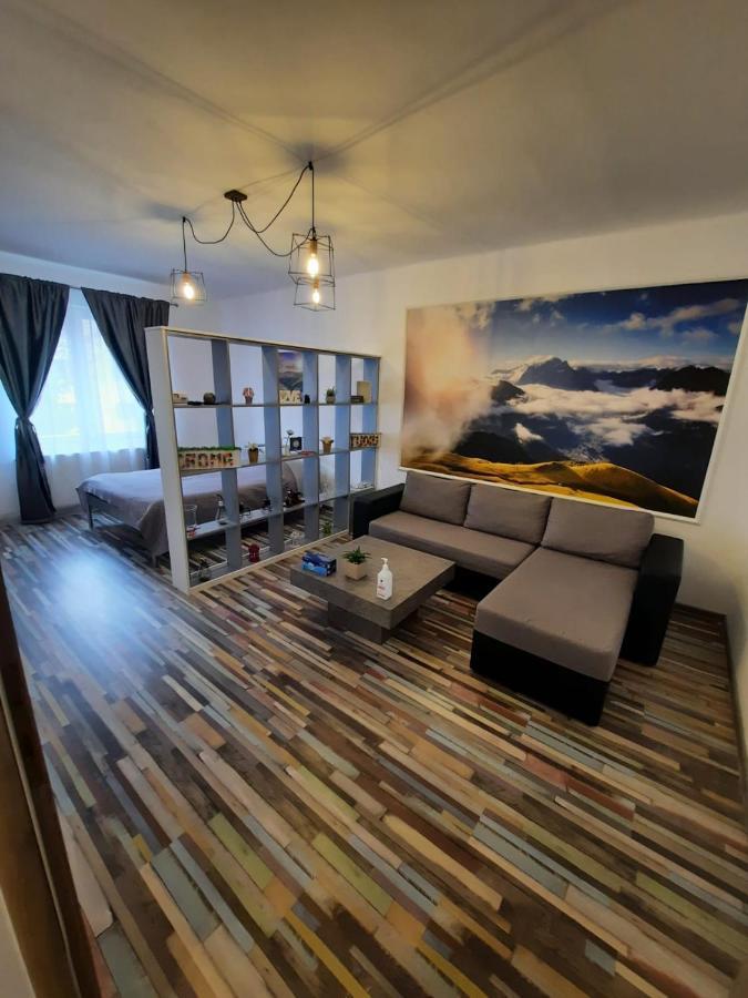 Croma Studio Petrosani Apartamento Exterior foto